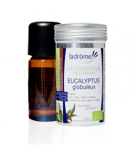DATE DÉPASSÉE - Huile essentielle d'eucalyptus globuleux bio