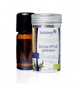 Huile essentielle d'eucalyptus globuleux bio