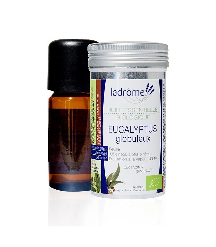 Huile essentielle d'eucalyptus globuleux bio