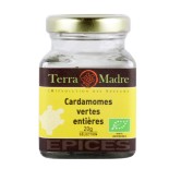 Cardamomes vertes entières bio
