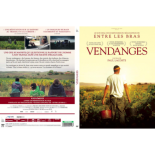 Vendanges