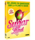 La bombe et nous - DVD