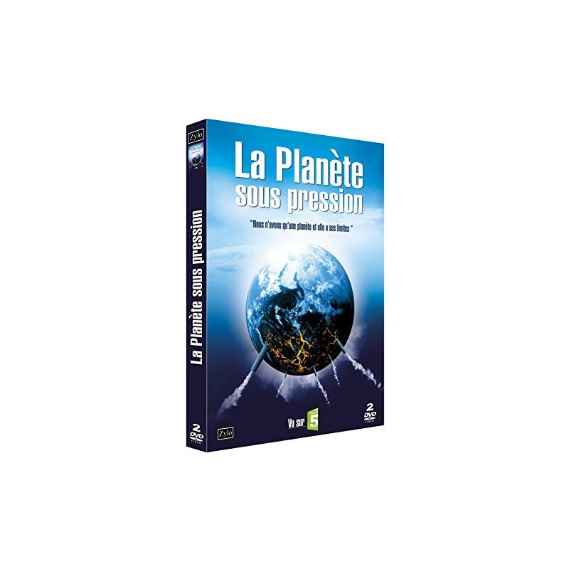 Solutions locales pour un désordre global (DVD)