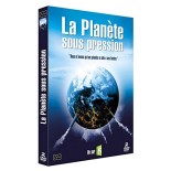 Solutions locales pour un désordre global (DVD)