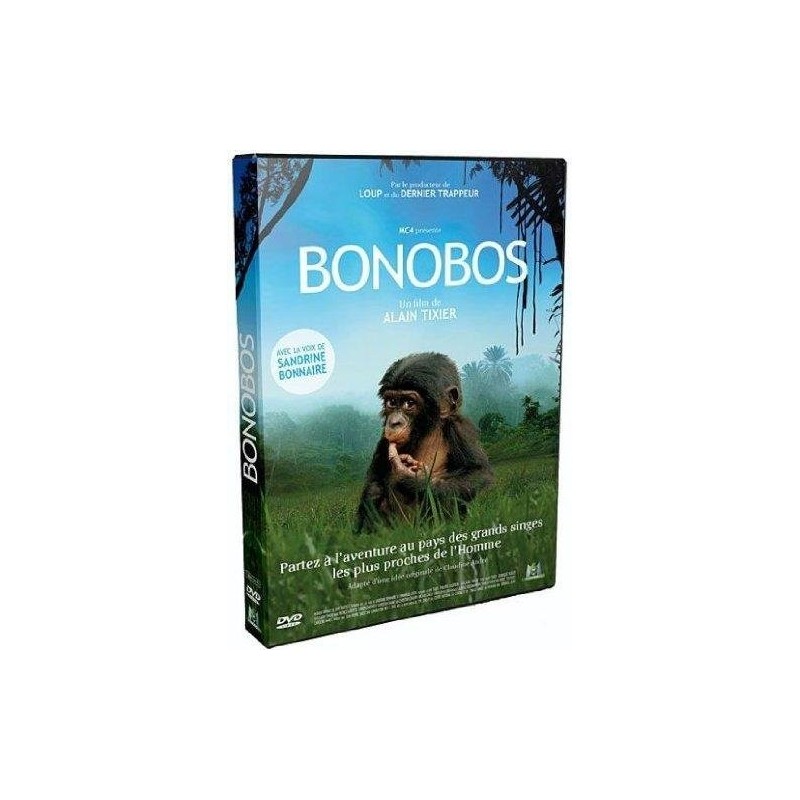 Solutions locales pour un désordre global (DVD)