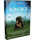 Solutions locales pour un désordre global (DVD)