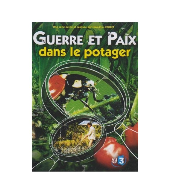 Solutions locales pour un désordre global (DVD)