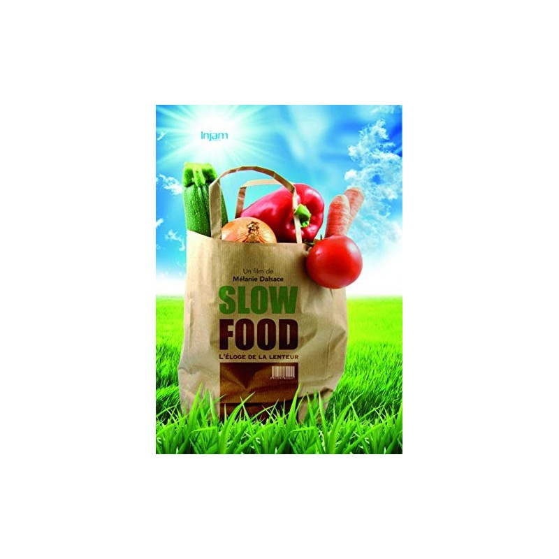 Solutions locales pour un désordre global (DVD)