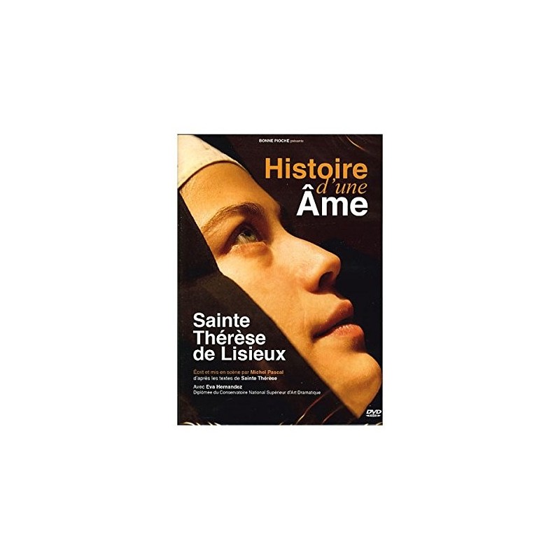 Solutions locales pour un désordre global (DVD)