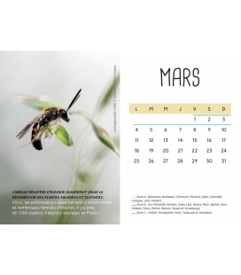 Calendrier de l'avent bio et équitable