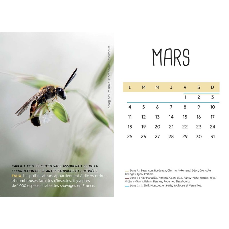 Calendrier de l'avent bio et équitable