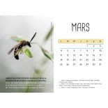 Calendrier de l'avent bio et équitable