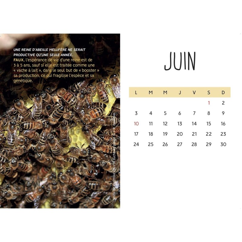 Calendrier de l'avent bio et équitable