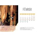 Calendrier de l'avent bio et équitable