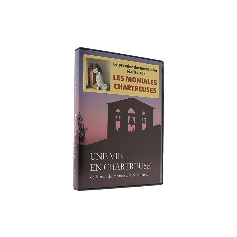 Solutions locales pour un désordre global (DVD)