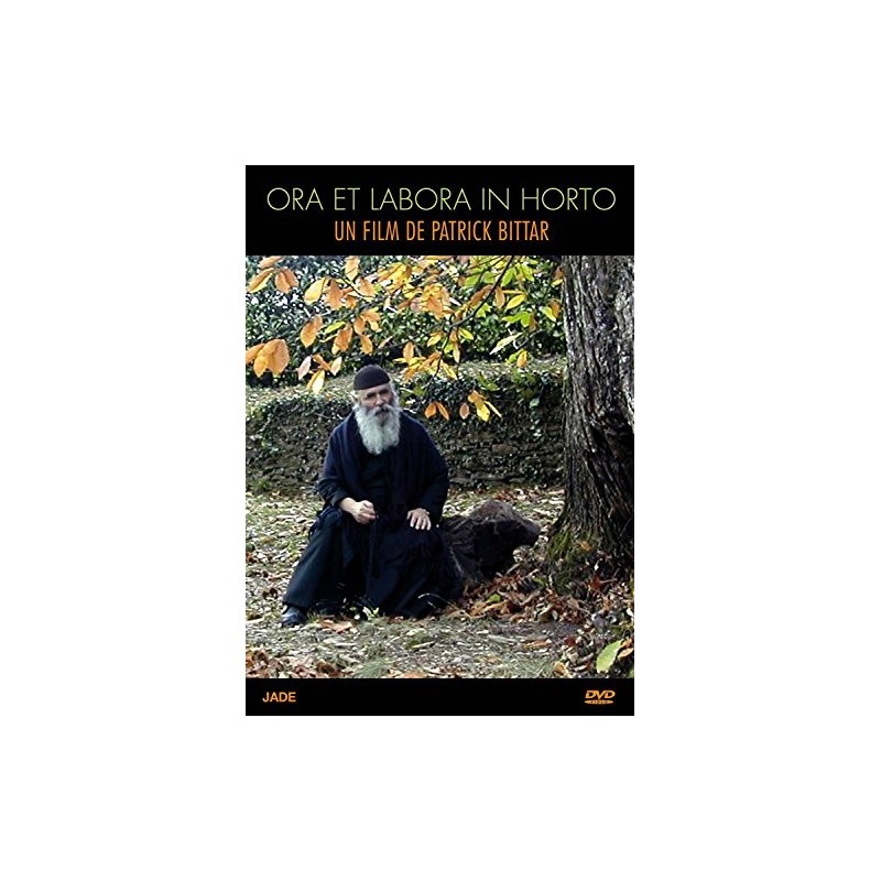 Solutions locales pour un désordre global (DVD)