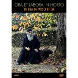 Solutions locales pour un désordre global (DVD)