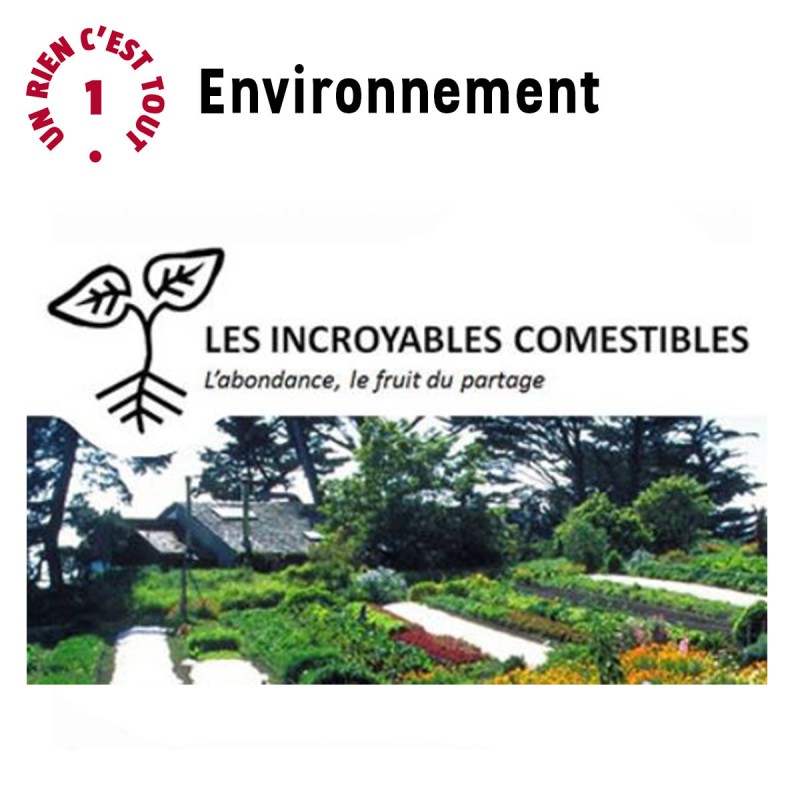 Je soutien le droit à la dignité !