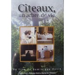 Solutions locales pour un désordre global (DVD)