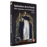 Solutions locales pour un désordre global (DVD)