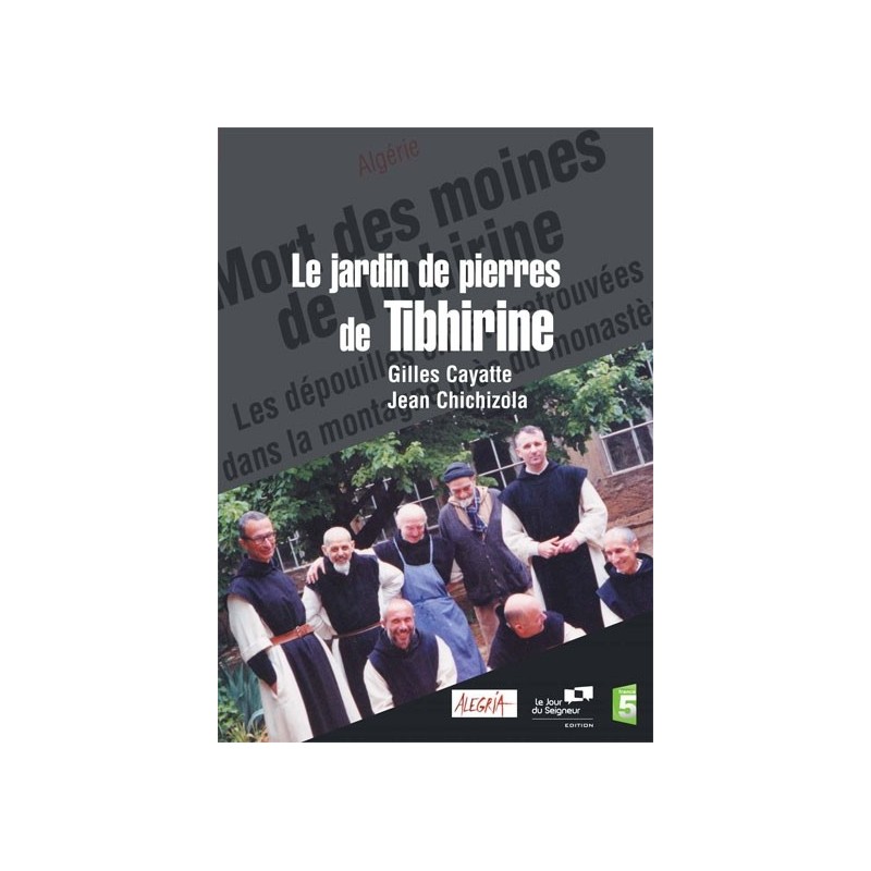 Solutions locales pour un désordre global (DVD)