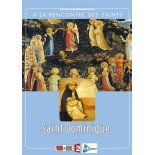 Solutions locales pour un désordre global (DVD)