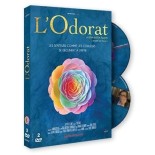 Solutions locales pour un désordre global (DVD)