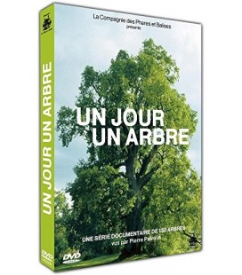 Solutions locales pour un désordre global (DVD)