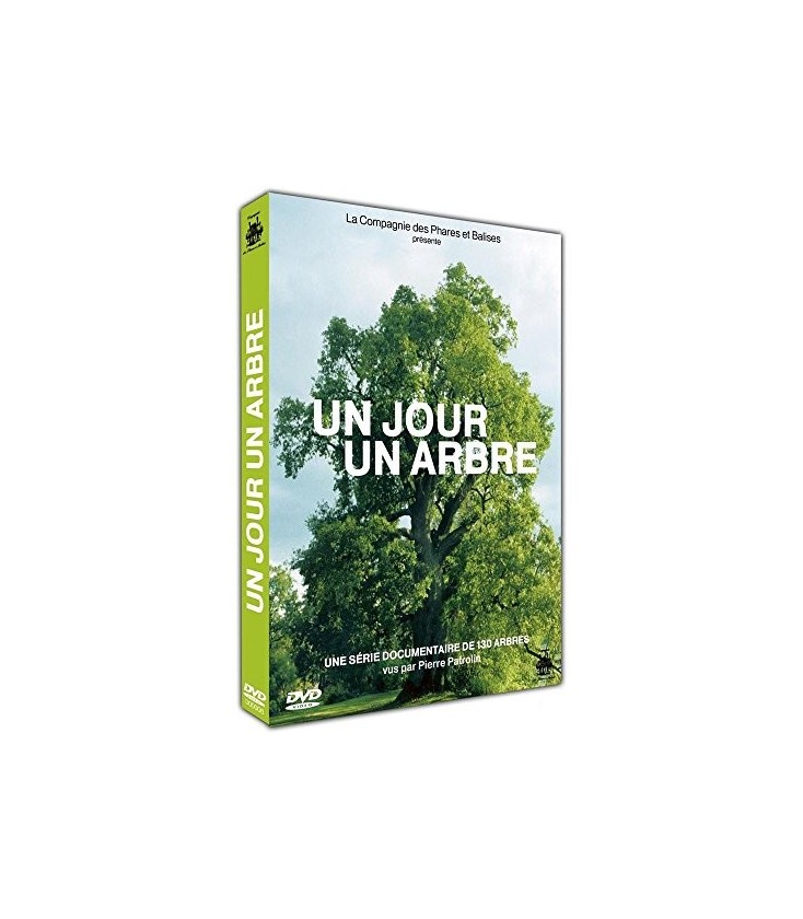 Solutions locales pour un désordre global (DVD)