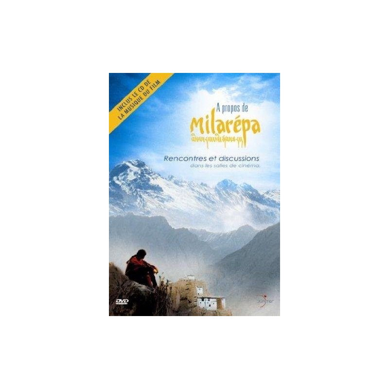 Solutions locales pour un désordre global (DVD)