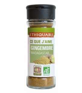 Gingembre en poudre bio & équitable