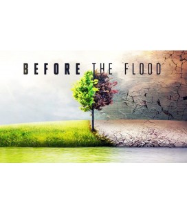 Avant Le Déluge (Before the flood)