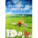 Wildbienden Und Schmetterlinge