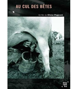 Au cul des bêtes