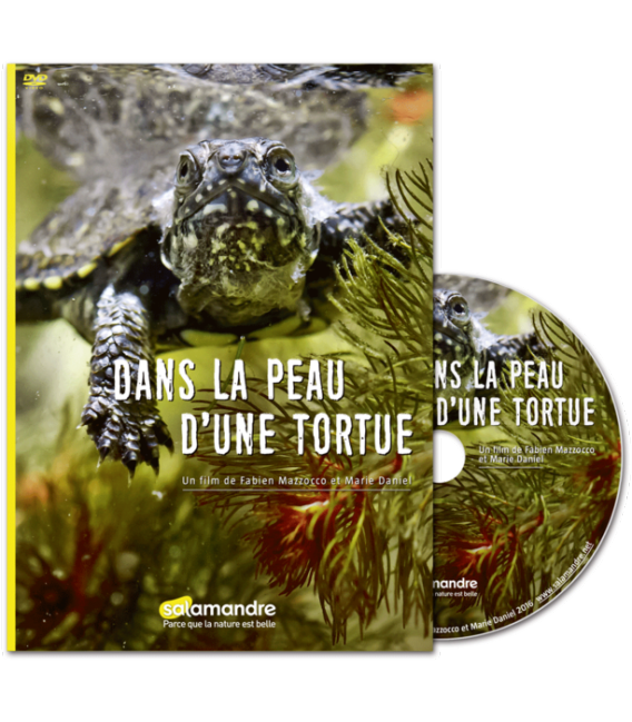 Dans la peau d'une tortue