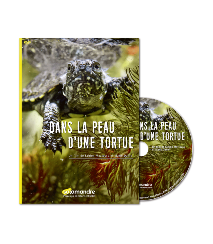 Dans la peau d'une tortue