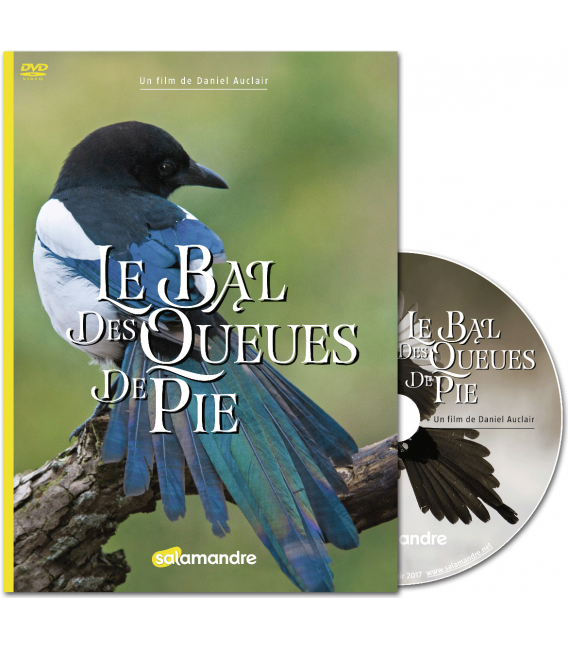 Le bal des oiseaux.