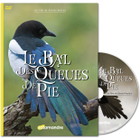 Le bal des oiseaux.