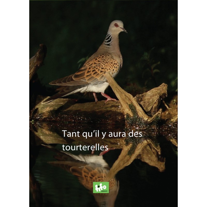 Tant qu'il y aura des tourterelles.