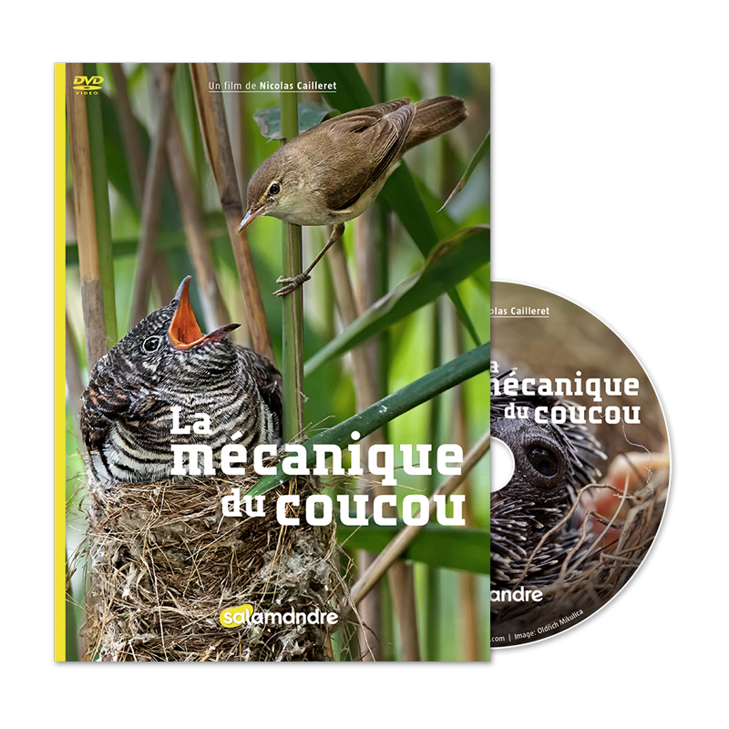 La Mécanique du coucou