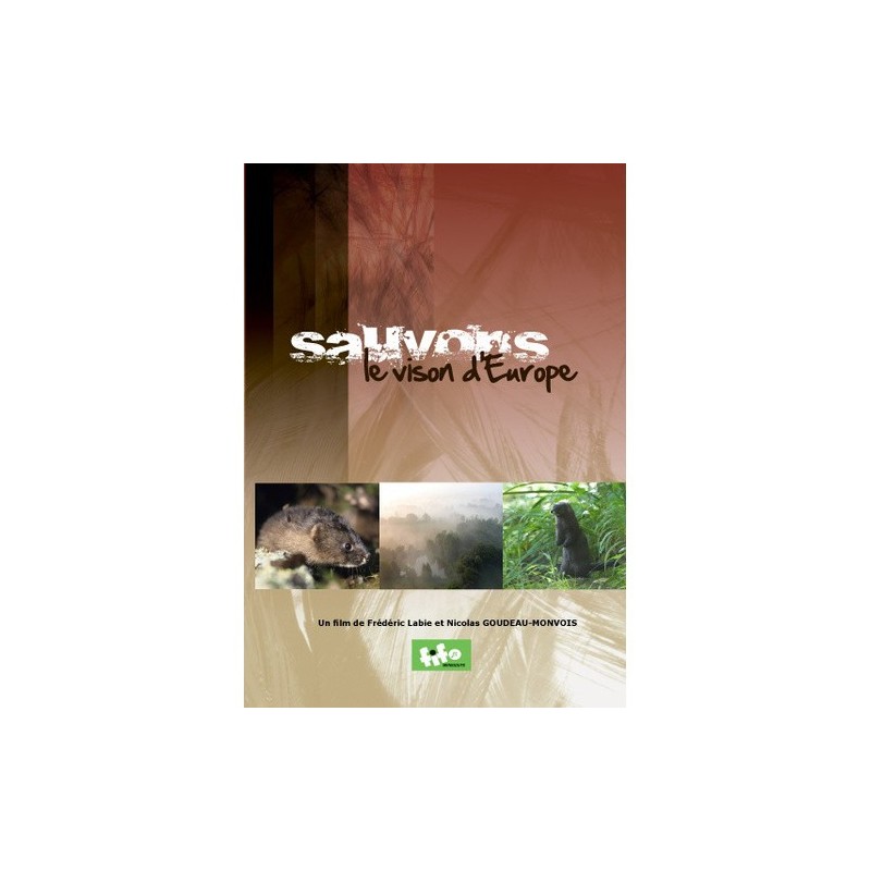 Sauvons le vision d'Europe