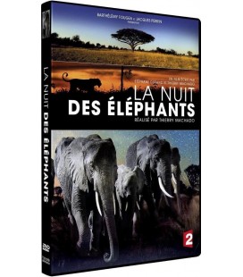 La nuit des éléphants.