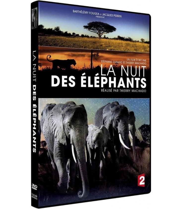 La nuit des éléphants.