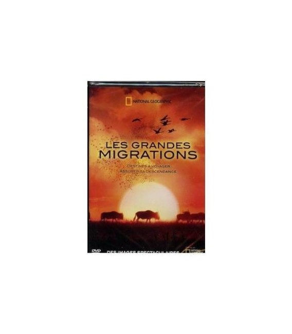  les grandes migrations