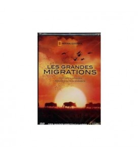  les grandes migrations