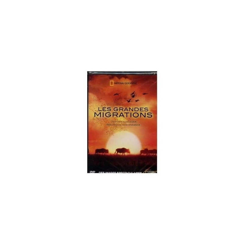 les grandes migrations