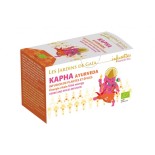 Ayurveda Kapha bio, énergie vitale