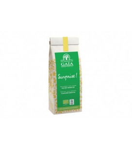 DATE DÉPASSÉE - Surprise de Noël - Thé Vert aromatisé Fruits éxotiques Cacao Limette bio & équitable