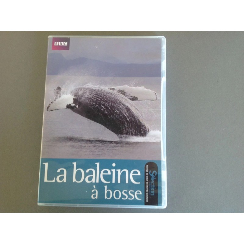 Enterrés volontaires au Coeur de l'antarctique