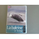 Enterrés volontaires au Coeur de l'antarctique